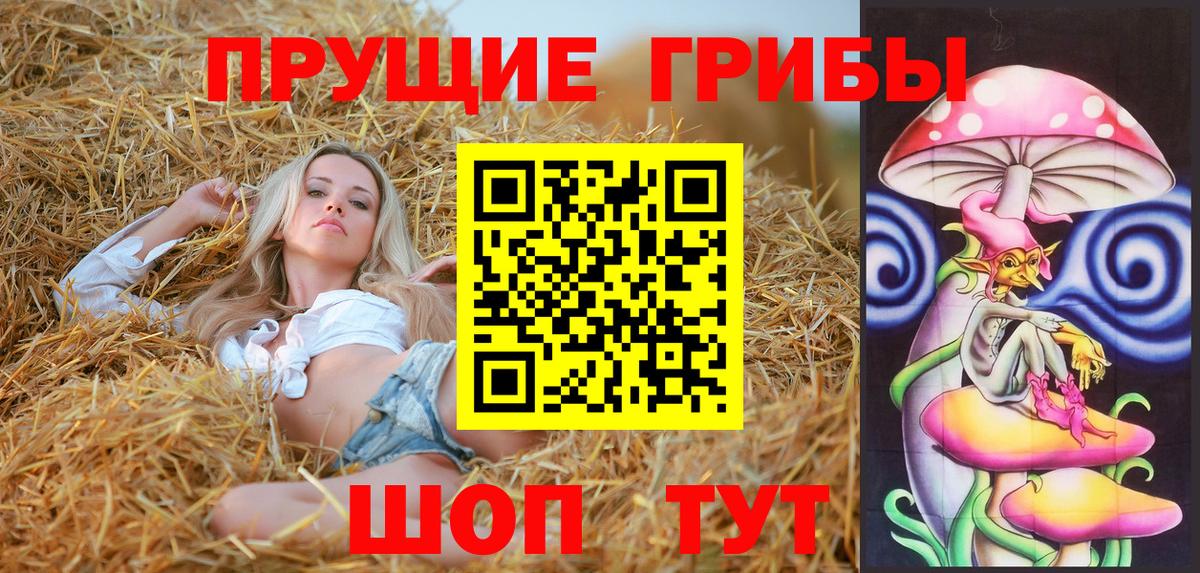 Тобольск  где купить наркоту  Вход с VPN  Псилоцибиновые грибы MAGIC MUSHROOMS 